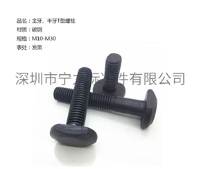 全牙、半牙T型螺栓